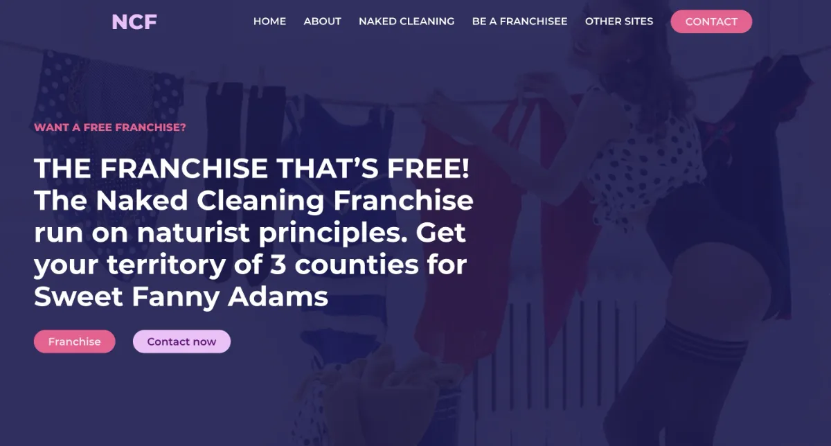 Naked Cleaner Franchise